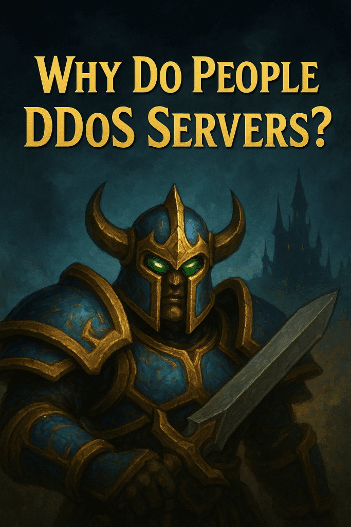 Why Do People DDoS Servers? 🤔